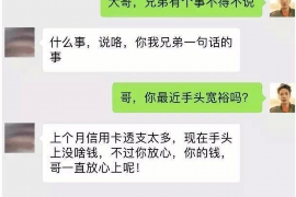 新沂企业清欠服务